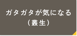 ガタガタが気になる（叢生）