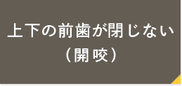 上下の前歯が閉じない（開咬）